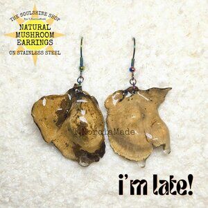 I'm Late! Natural Mushroom Earrings